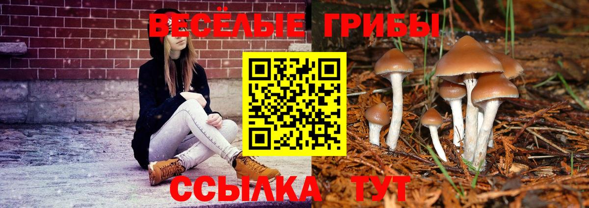 Первоуральск  Псилоцибиновые грибы Magic Shrooms  Вход с VPN  Галлюциногенные грибы Psilocybine cubensis 